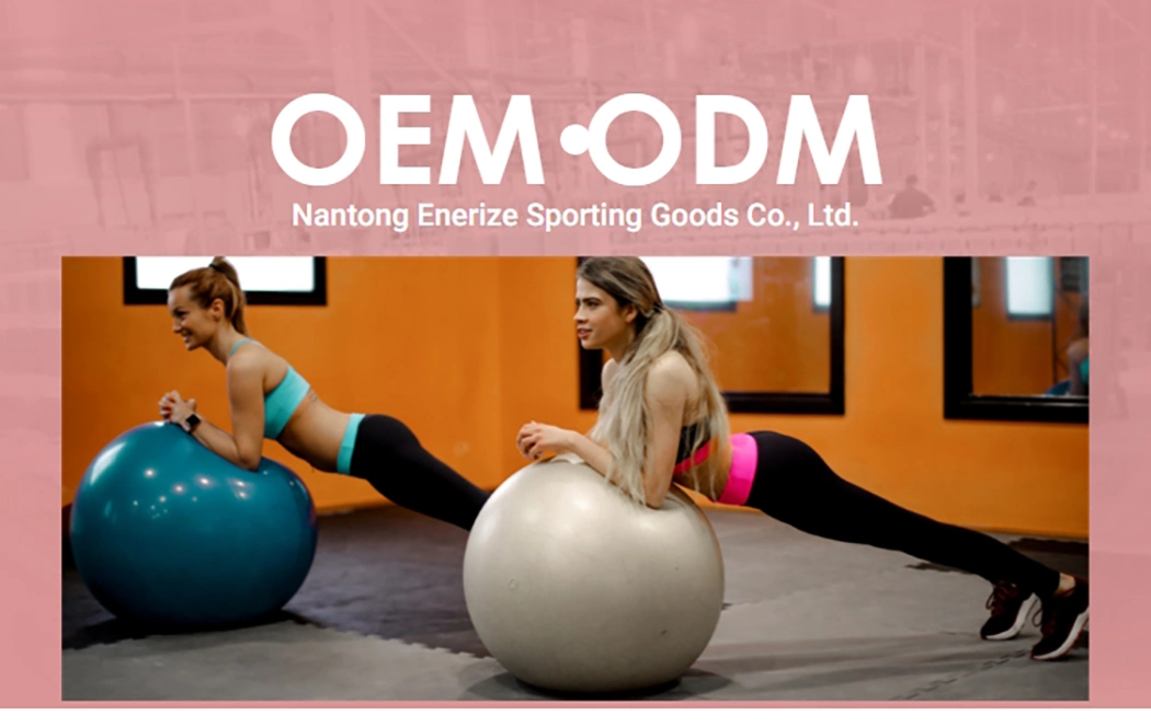 Home Gym Core Strength Yoga Balance Ball, Fitness Ball Slip Resistant Stability Pilates Yoga Ball