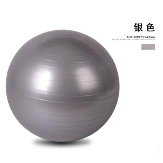 Custom Gym Balance Exercise Ball Yoga Half Balance Ball