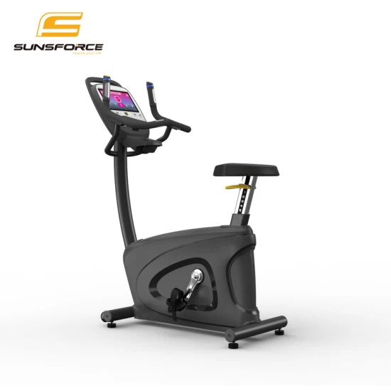 Wholesale Indoor Body Fit Bike Commercial Magnetic Healthware Professional Gym Spin/Spinning/Exercise Bike Price for Fitness/Upright/Giant/Recumbent